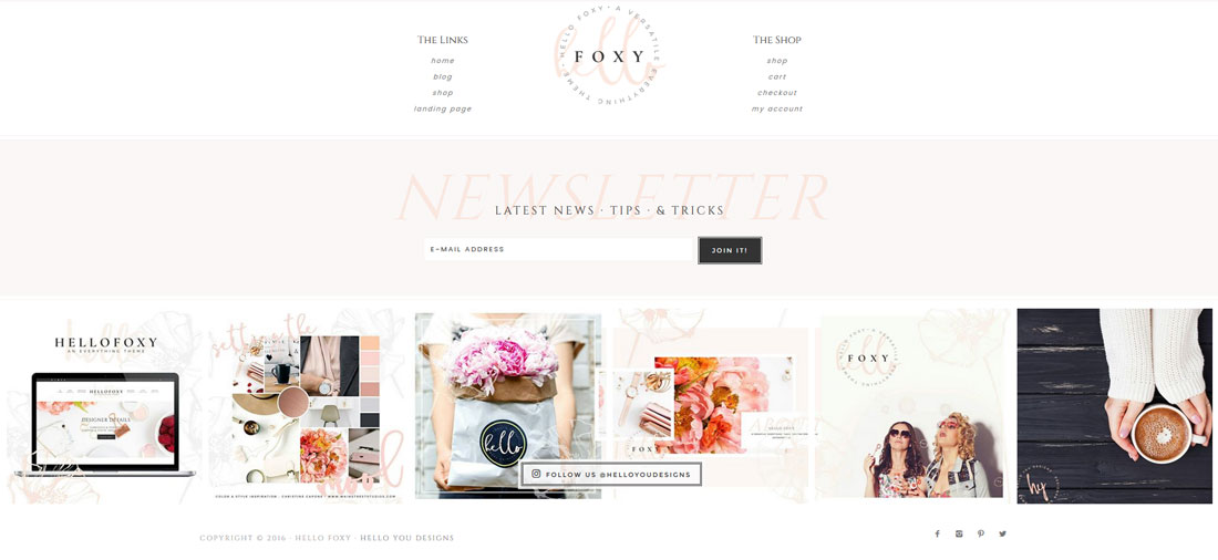 hello-foxy-footer-overview