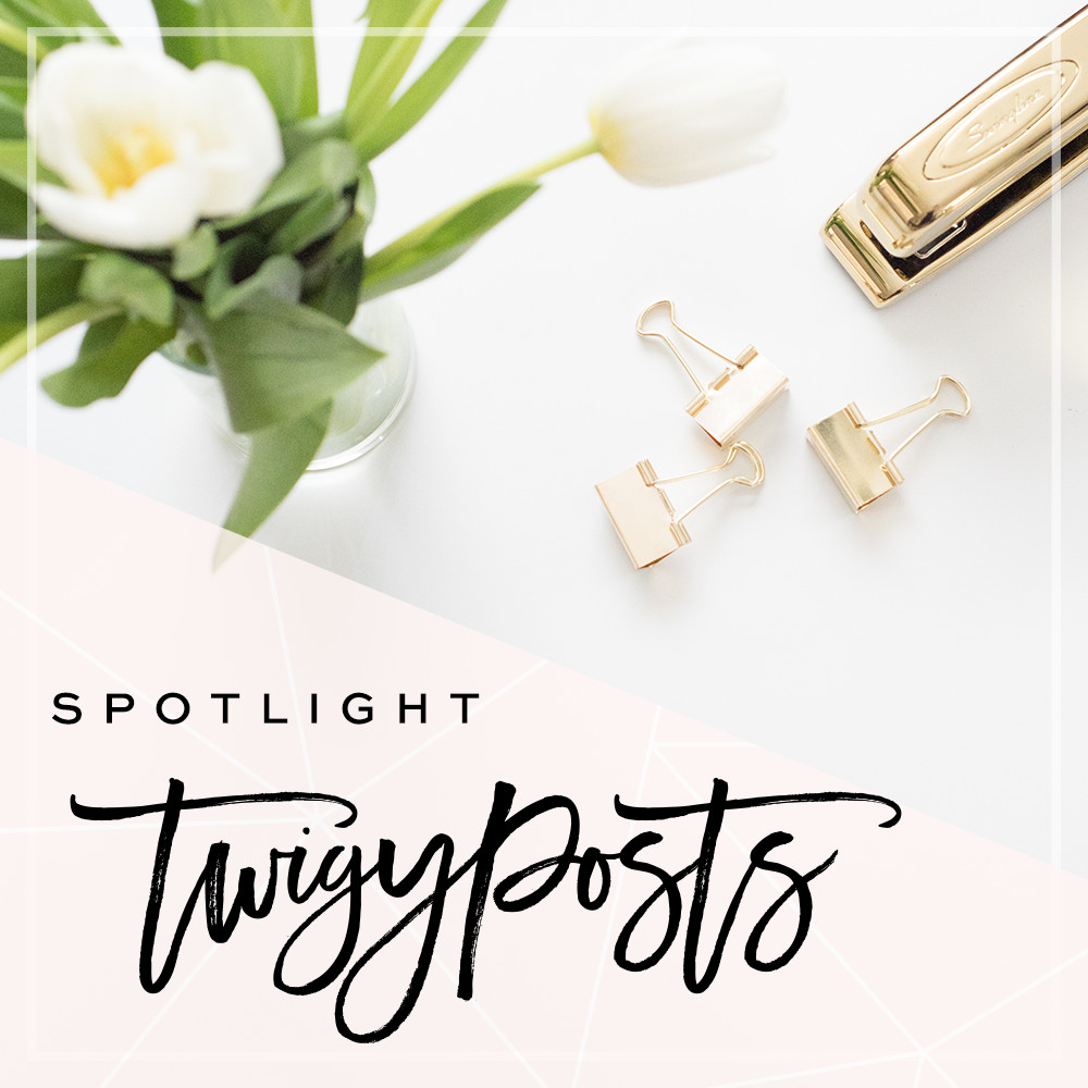Designer Spotlight TwigyPosts