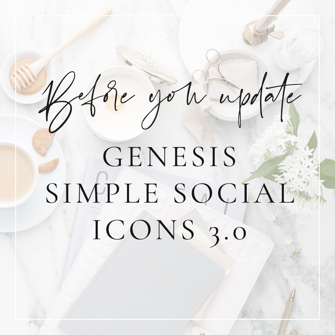 Genesis Simple Social Icons 3.0