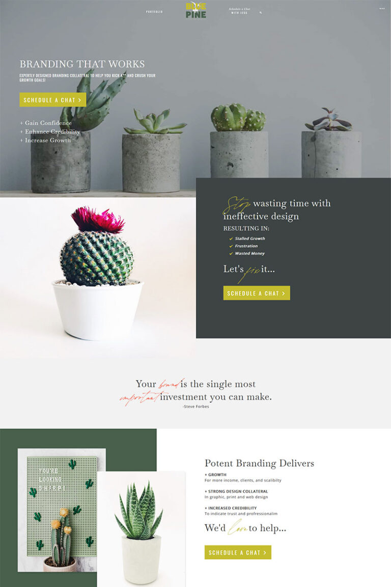 Hello Niche WordPress Theme Example