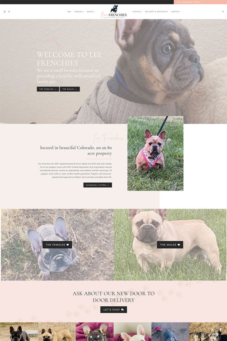 Lee Frenchies