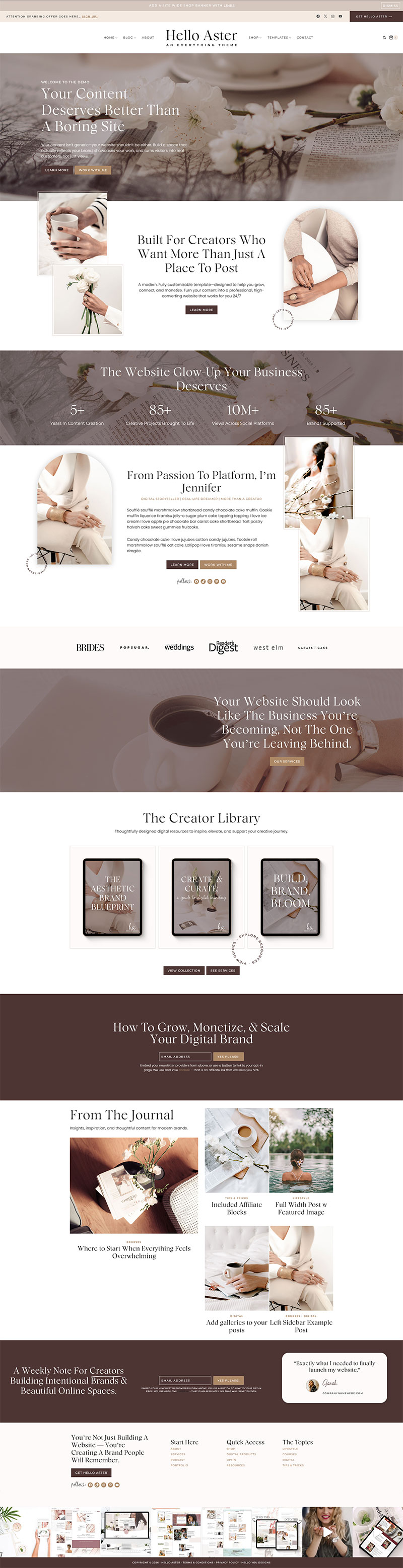 Hello Aster WordPress Theme Homepage 2 Preview